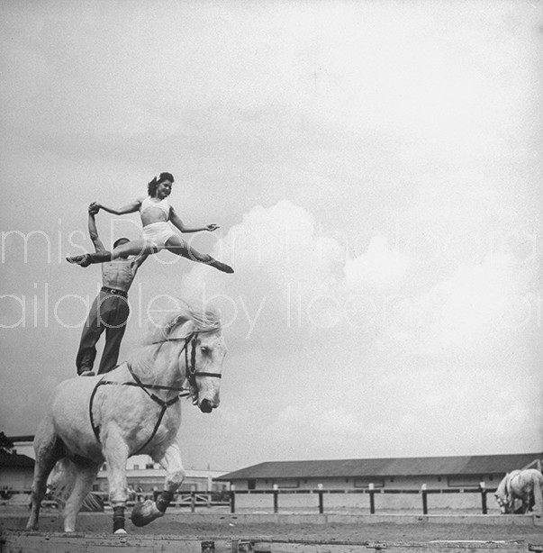 Circus equestrian Ernstine Clarke performing his act during the show.