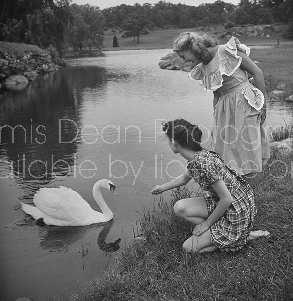 Two fashion models feeding a duck while modelling new cotton dresses.