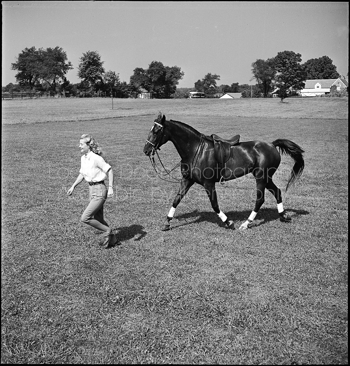 A woman causing the trick horse to gallop along behind her.