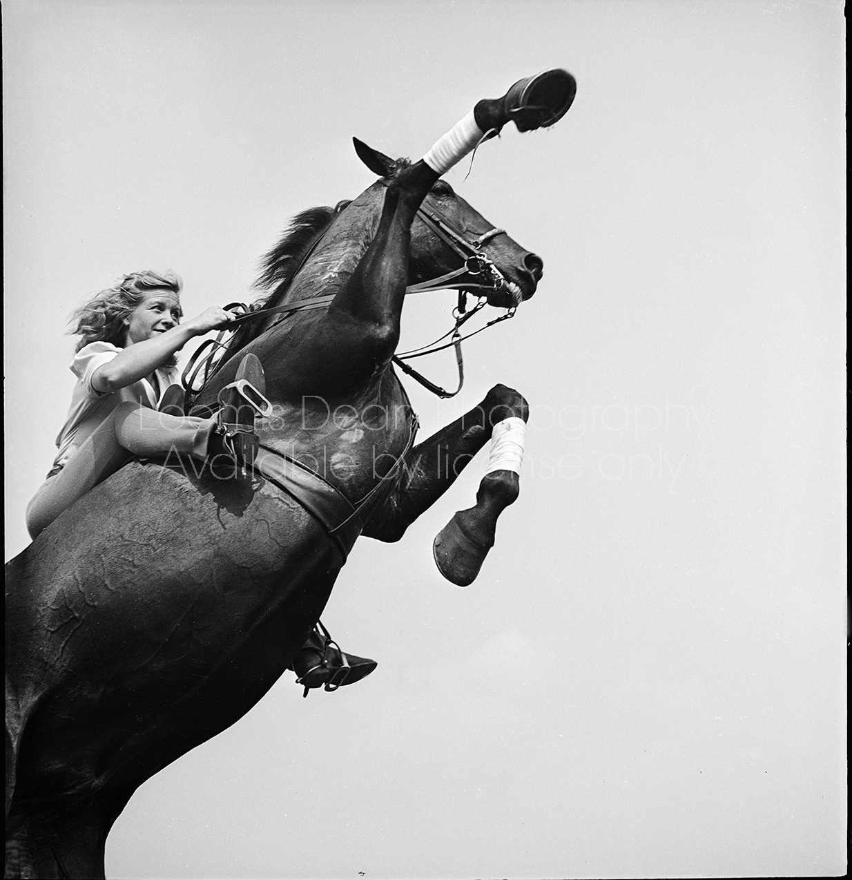 A woman riding a trick horse while it bucks its front legs up in the air.