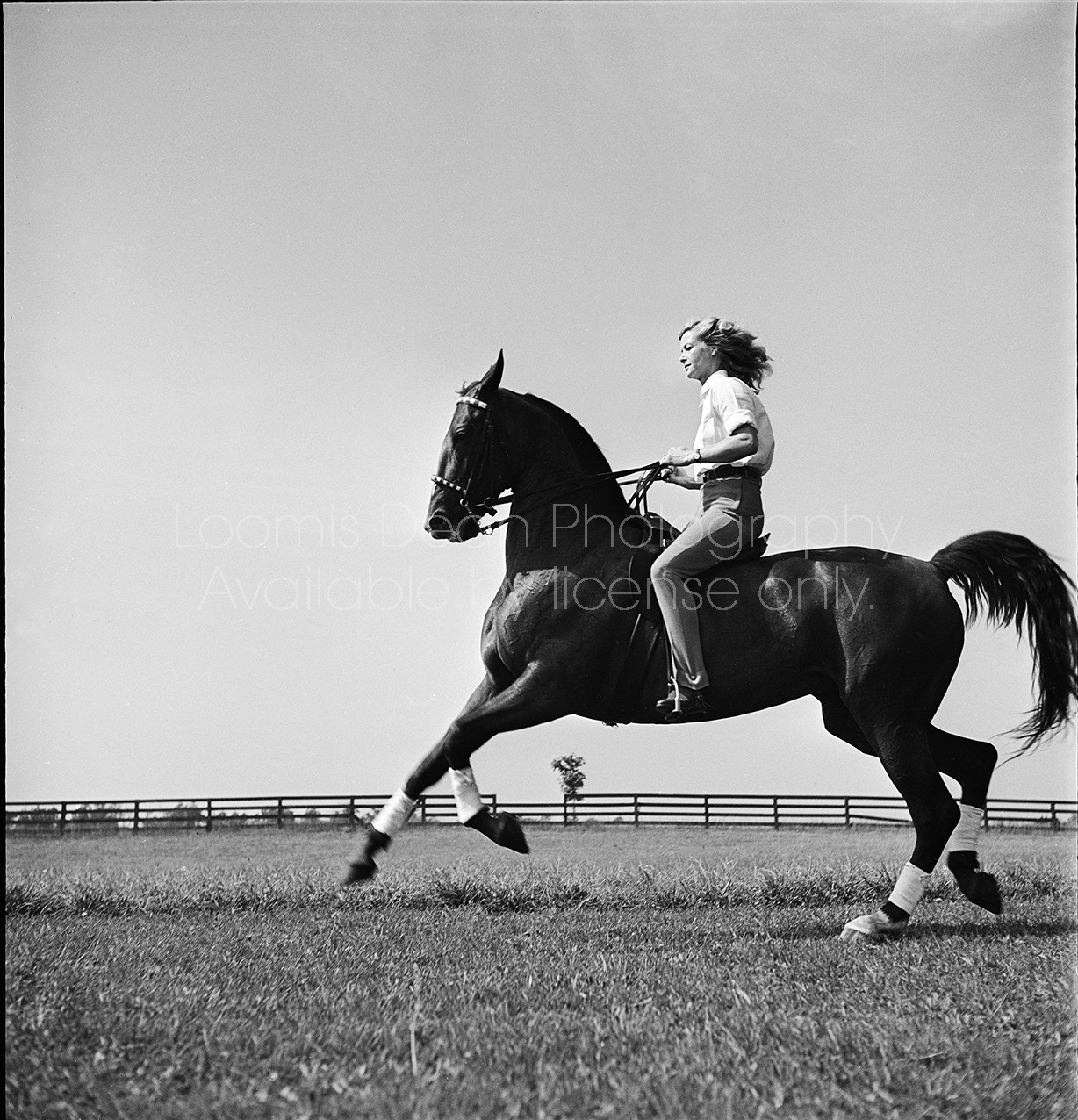 A woman riding on the slowly galloping trick horse.