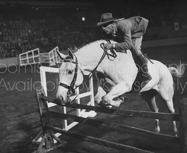 A view of the New York Horse Show.