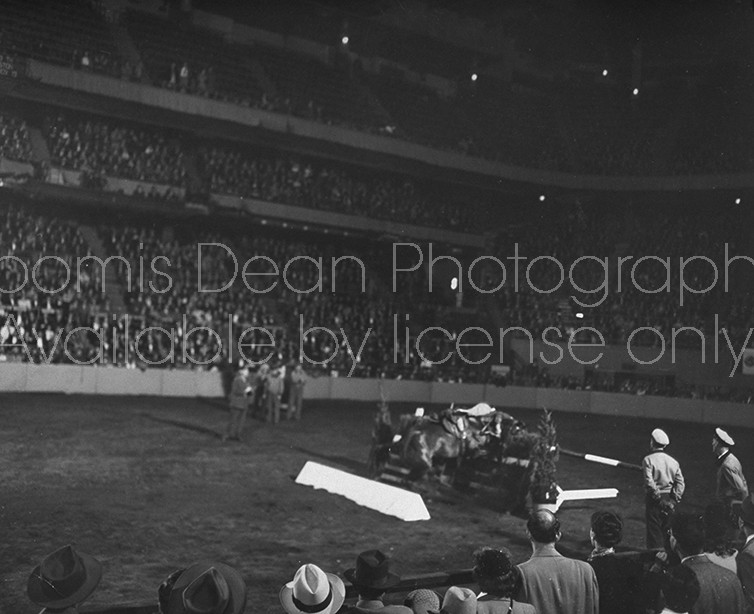 A view of the New York Horse Show.