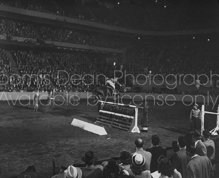 A view of the New York Horse Show.