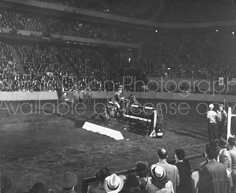 A view of the New York Horse Show.