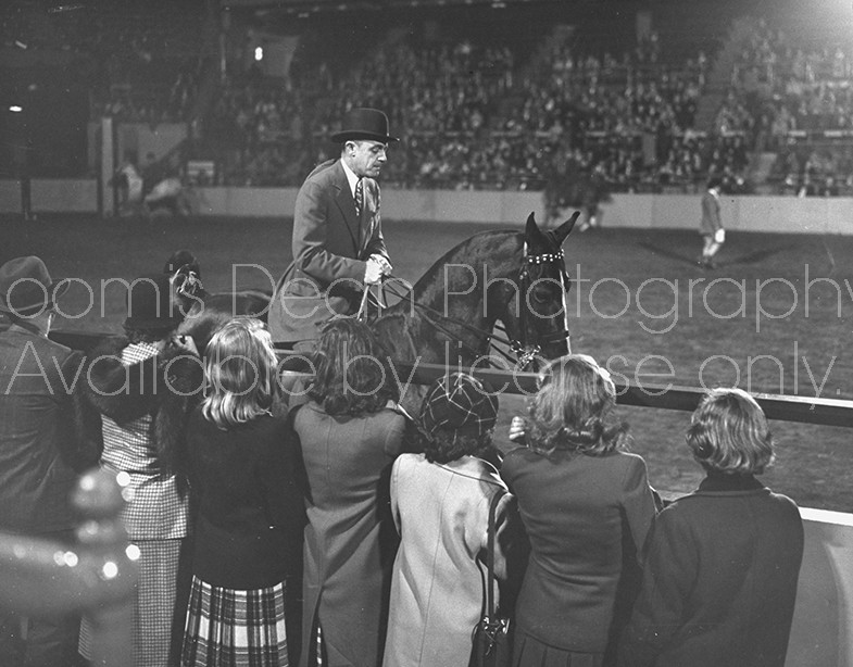 A view of the New York Horse Show.