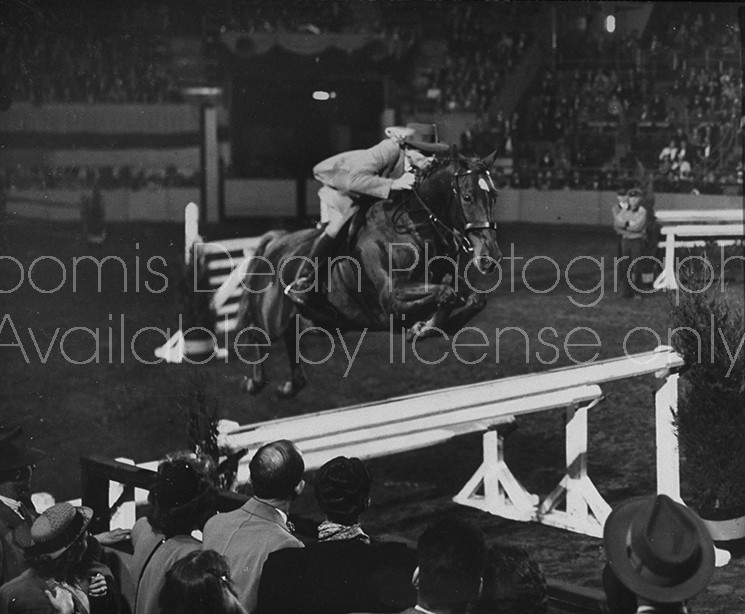 A view of the New York Horse Show.