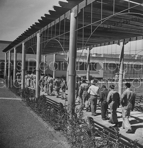 Workers at a factory lining up for lunch.