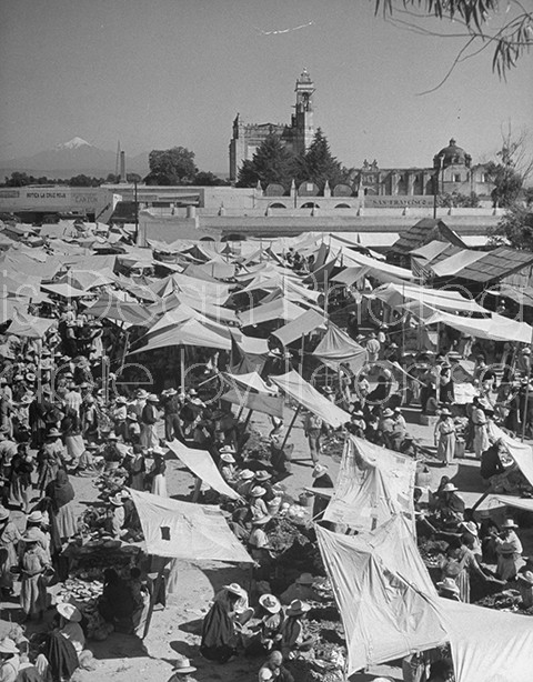 A view of the many stalls at the Toluca Market.