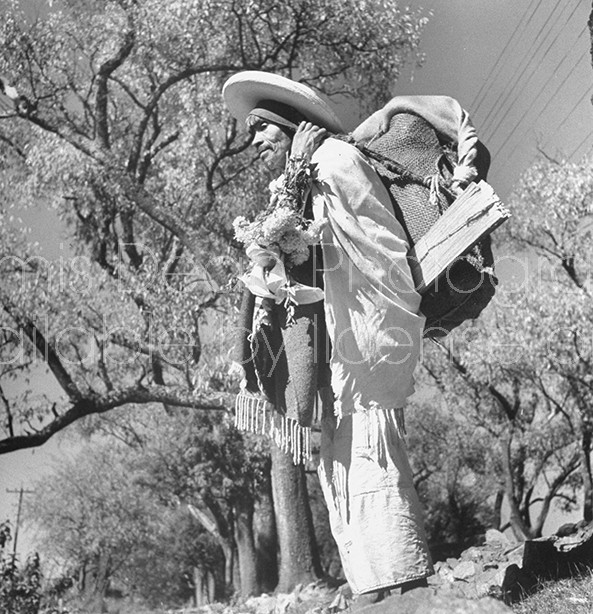 A man carrying a load of cut wood on his back to market, flowers strapped to his arm.