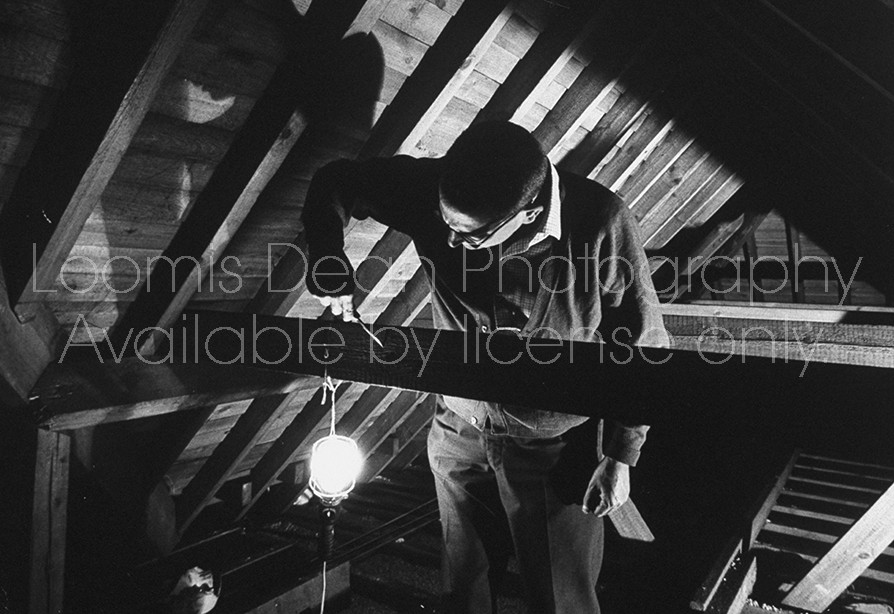 Shepherd Mead, satiric American author of book "How to Live Like a Lord Without Really Trying", checking the timbers of his roof for pests.