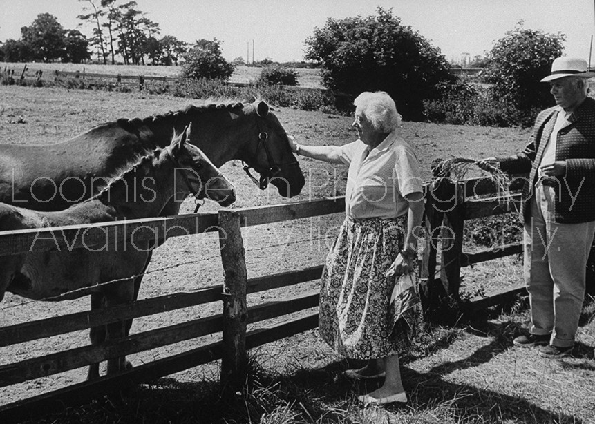 Actress Margaret Rutherford and husband Stringer Davis petting some horses.