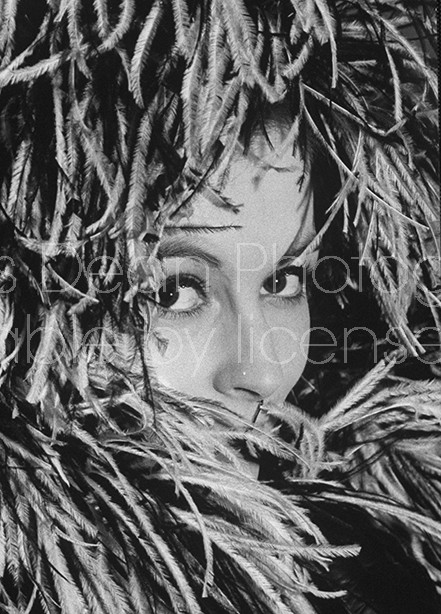 Ostrich feather hat frames face of British fashion model Sandra Douglas-Home.