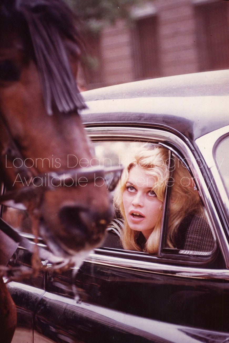 BRIGITTE BARDOT AND HORSE 