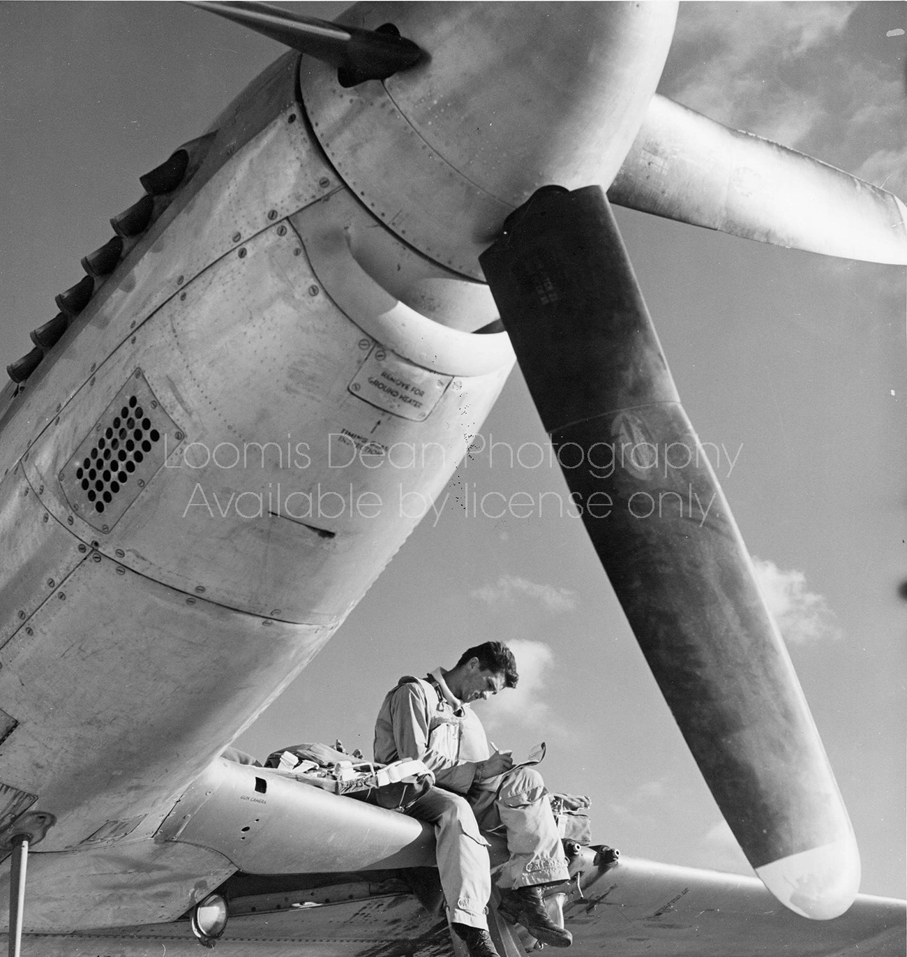 U.S. AIR FORCE P51 FIGHTER PILOT AND PLANE S 118 