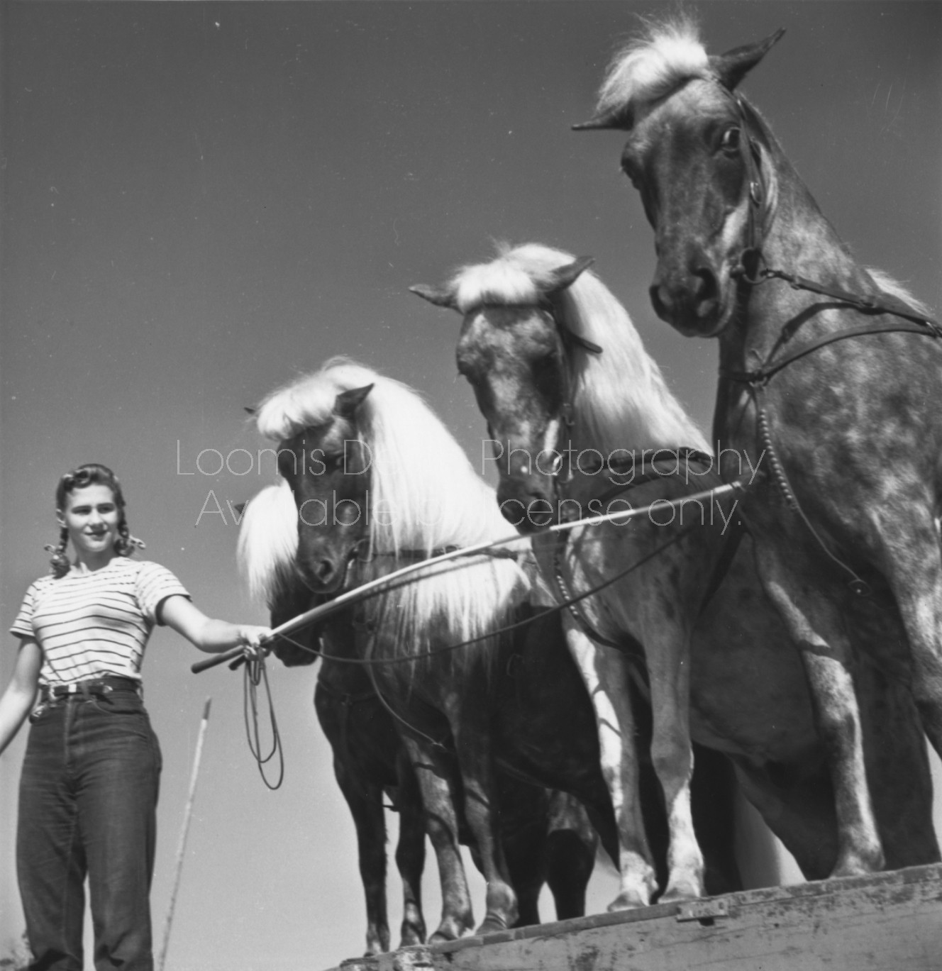 RINGLING CIRCUS PERFORMER MARION SEIFERT 085 