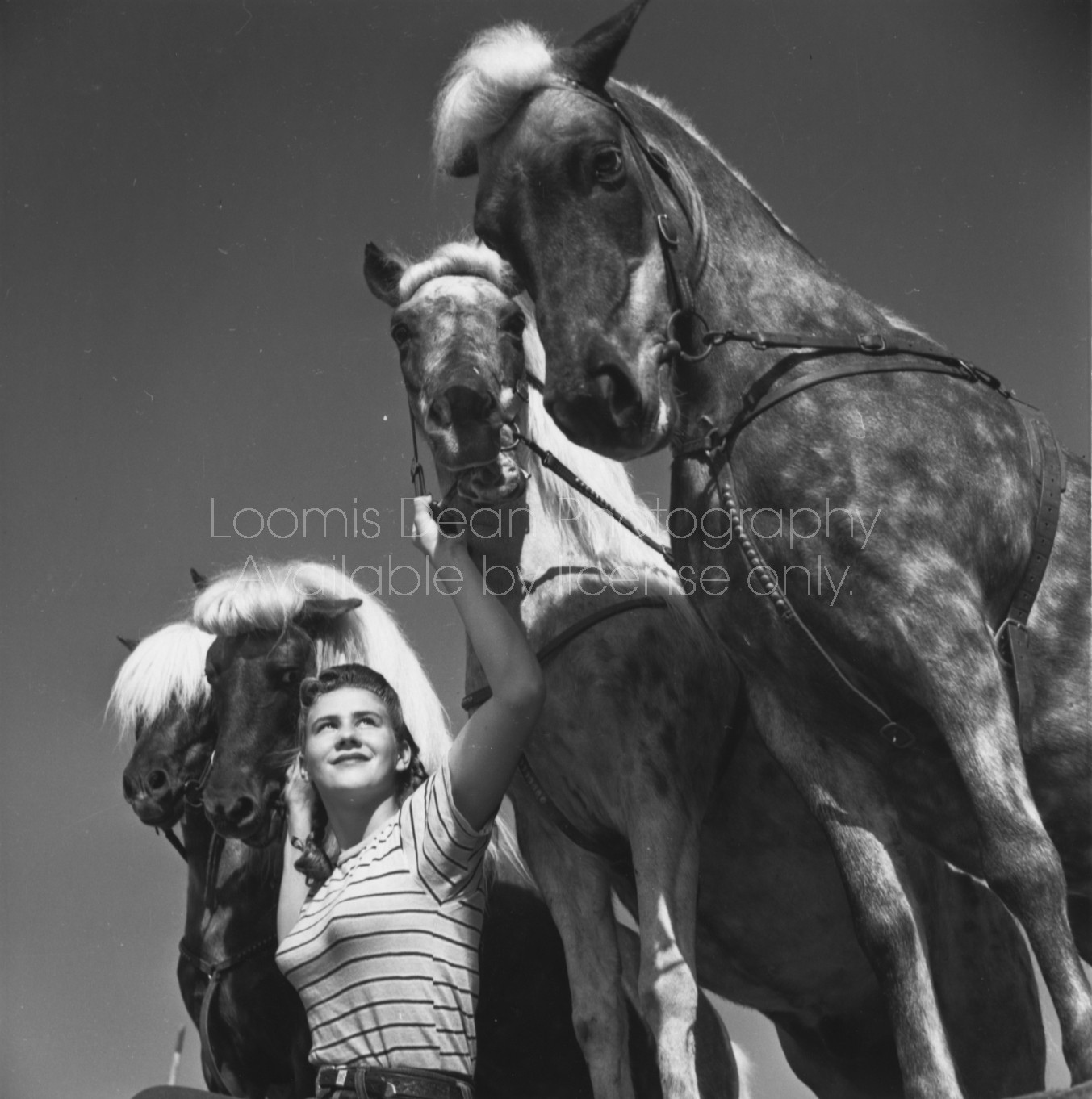 RINGLING CIRCUS PERFORMER MARION SEIFERT 086 