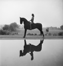 A trick horse standing beside the lake, causing a mirror image.