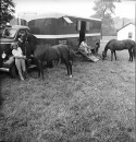 A married couple living in a truck trailer with their trick horses.