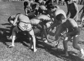 Cherokee Indians playing stickball.