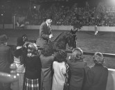 A view of the New York Horse Show.