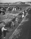 Railroad workers digging a drainage ditch.