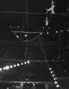 Circus Aerialists and tight rope walkers at Madison Sq. Garden.