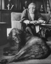 Actor/Director John Huston sitting at home with his Irish wolfhound resting at his feet.