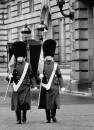 British Palace guards removing flags after John F. Kennedy's assassination.