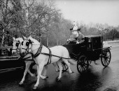 Coachmen on queen's carriage wearing black armbands, after the assassination of John F. Kennedy.