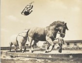 RINGLING CIRCUS ACROBAT FLIPPING OVER HORSE 