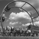 RINGLING CIRCUS HORSES & CARRIAGE 101 