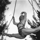 RINGLING CIRCUS LALAGE TRAPEZE PRACTICE 172 