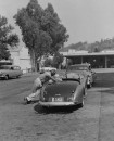 ACTRESS MAMIE VAN DOREN IN CAR 