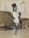 RINGLING CIRCUS SHOWGIRL IN TOPHAT 