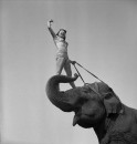 RINGLING CIRCUS SHOWGIRL ON ELEPHANT TRUNK 