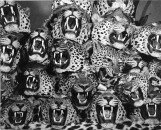 TAXIDERMIED LEOPARDS IN NAIROBI 445 