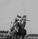 RINGLING CIRCUS TRICK RIDING TEAM 091 