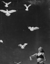 WOMAN AND SEAGULLS S 258 