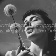 A model holding two healthy dry tufts of dandelion about to blow them.