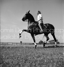 A woman riding on a trick horse performing the Spanish Walk.