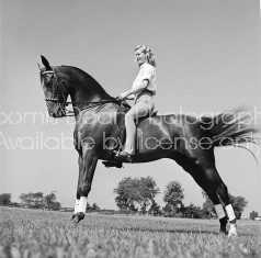 A woman sitting on the back of a trick horse.