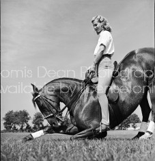 A woman sitting on the back of a trick horse gracefully bowing.