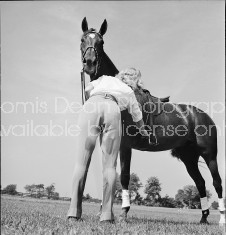 A woman inspecting  the horse's saddle.