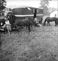 A married couple living in a truck trailer with their trick horses.