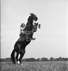 A woman riding a trick horse while it bucks its front legs up in the air.