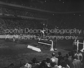 A view of the New York Horse Show.