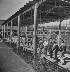 Workers at a factory lining up for lunch.