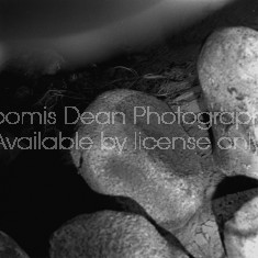 Rocks on the set of "Treasure of the Sierra Madre."