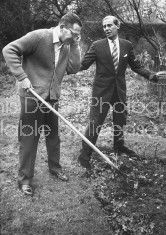 Shepherd Mead (L), satiric American author of book "How to Live Like a Lord Without Really Trying", gardening with advice from a neighbor.